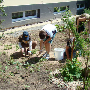 Předprázdninové pletí