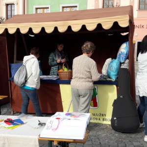 Festival sociálních služeb 2017