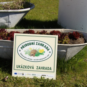 Předání certifikátu - 2019