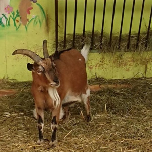 Návštěva Zahrady Letiště