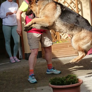 Canisterapie s paní Kodrlovou
