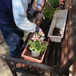 Práce našich zahradnic a zahradníků