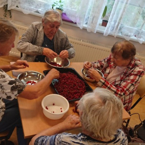 Výroba zásob na zimu